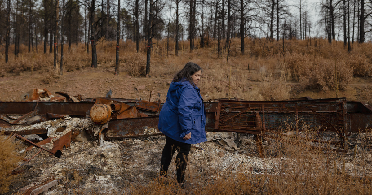 Hermits Peak-Calf Canyon Fire Victims May Be Compensated for Emotional Harm — ProPublica