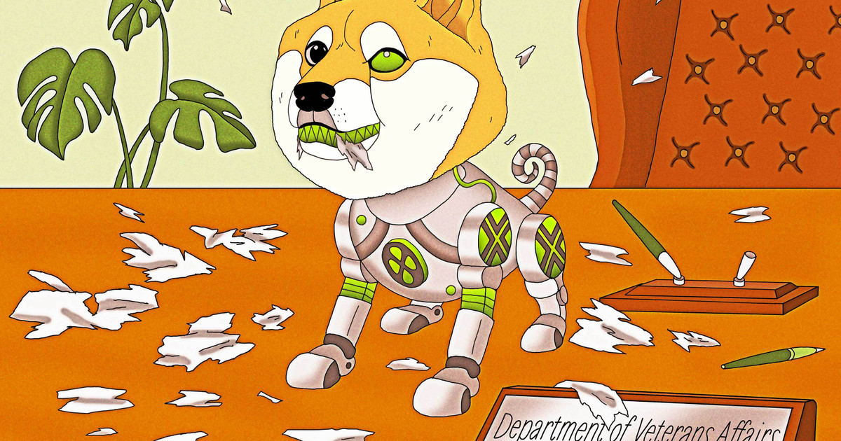 DOGE Developed Error-Prone AI to Help Kill Veterans Affairs Contracts — ProPublica