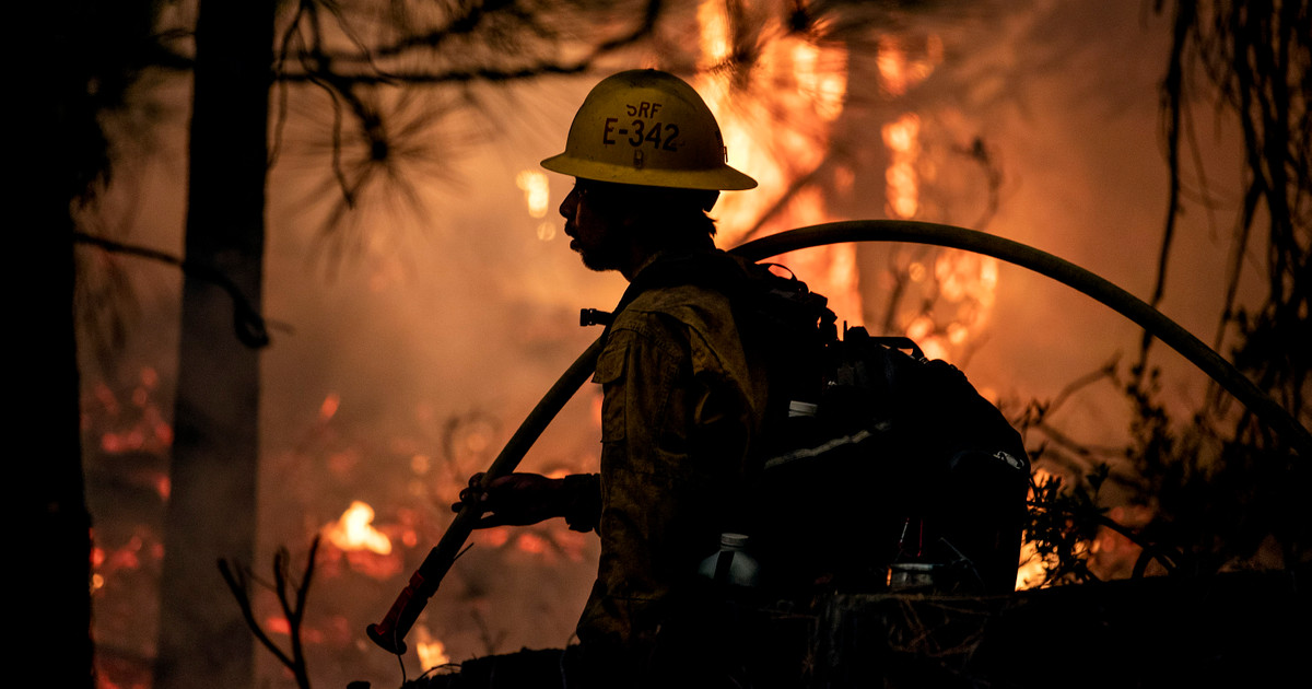 Start 31 Trump Laid Off Nearly All the Federal Workers Who Investigate Firefighter Deaths — ProPublica